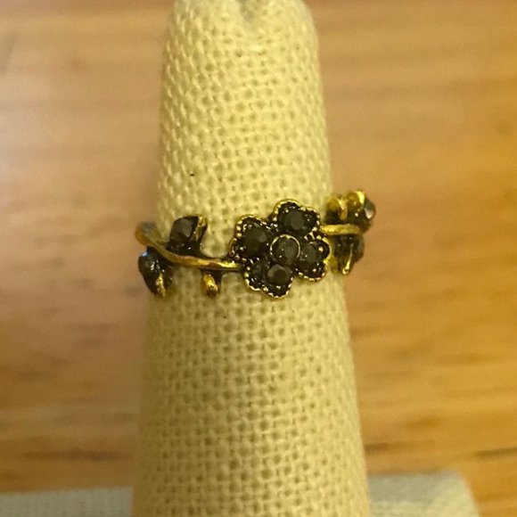 Anthropologie Jewelry - Ring of Midnight Roses Gold and Dark Silver Ring
